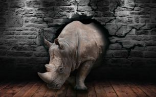 Фотообои Сокрушительный 3D носорог
