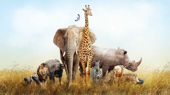 Фотообои Животные Африки