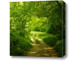 Картина Дорога через зеленый лес