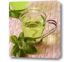 Картина Чашка зеленого чая