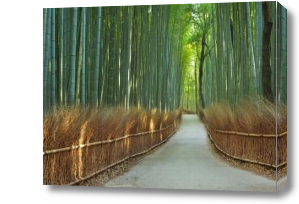 Картина дорога в бамбуковом лесу